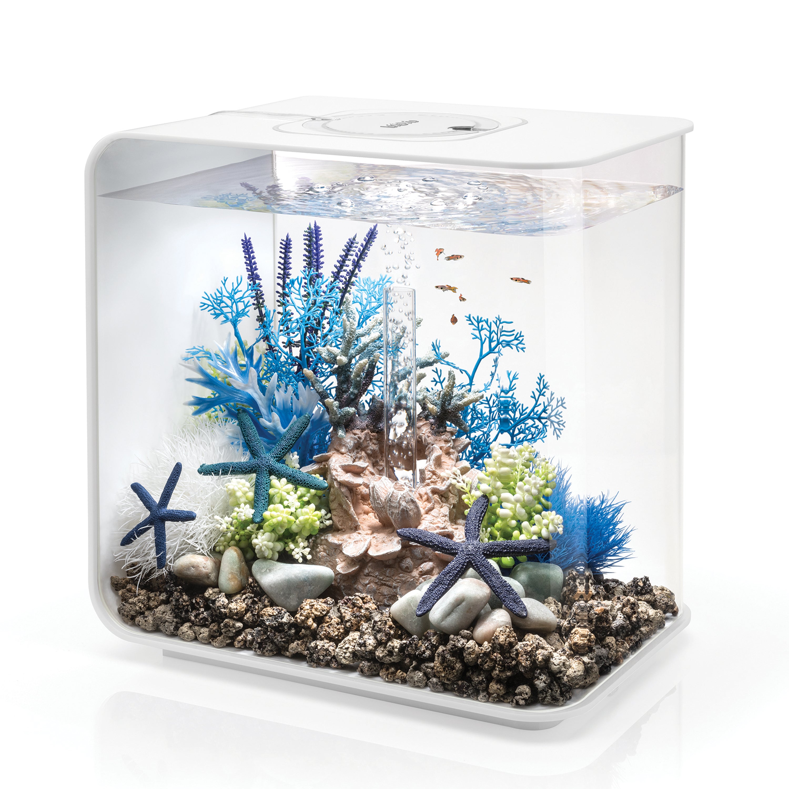 FLOW 30 Aquarium with Standard Light - 8 gallon available in white