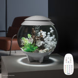 Get inspiration for your aquarium HALO 15 Aquarium with MCR Light - 4 gallon available in white