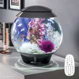 Get inspiration for your aquarium HALO 30 Aquarium with MCR Light - 8 gallon available in grey
