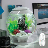 Get inspiration for your aquarium HALO 30 Aquarium with MCR Light - 8 gallon available in white