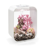 LIFE 15 Aquarium with Standard Light - 4 gallon available in white