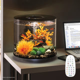 Get inspiration for your aquarium TUBE 15 Aquarium with MCR Light - 4 gallon available in black 