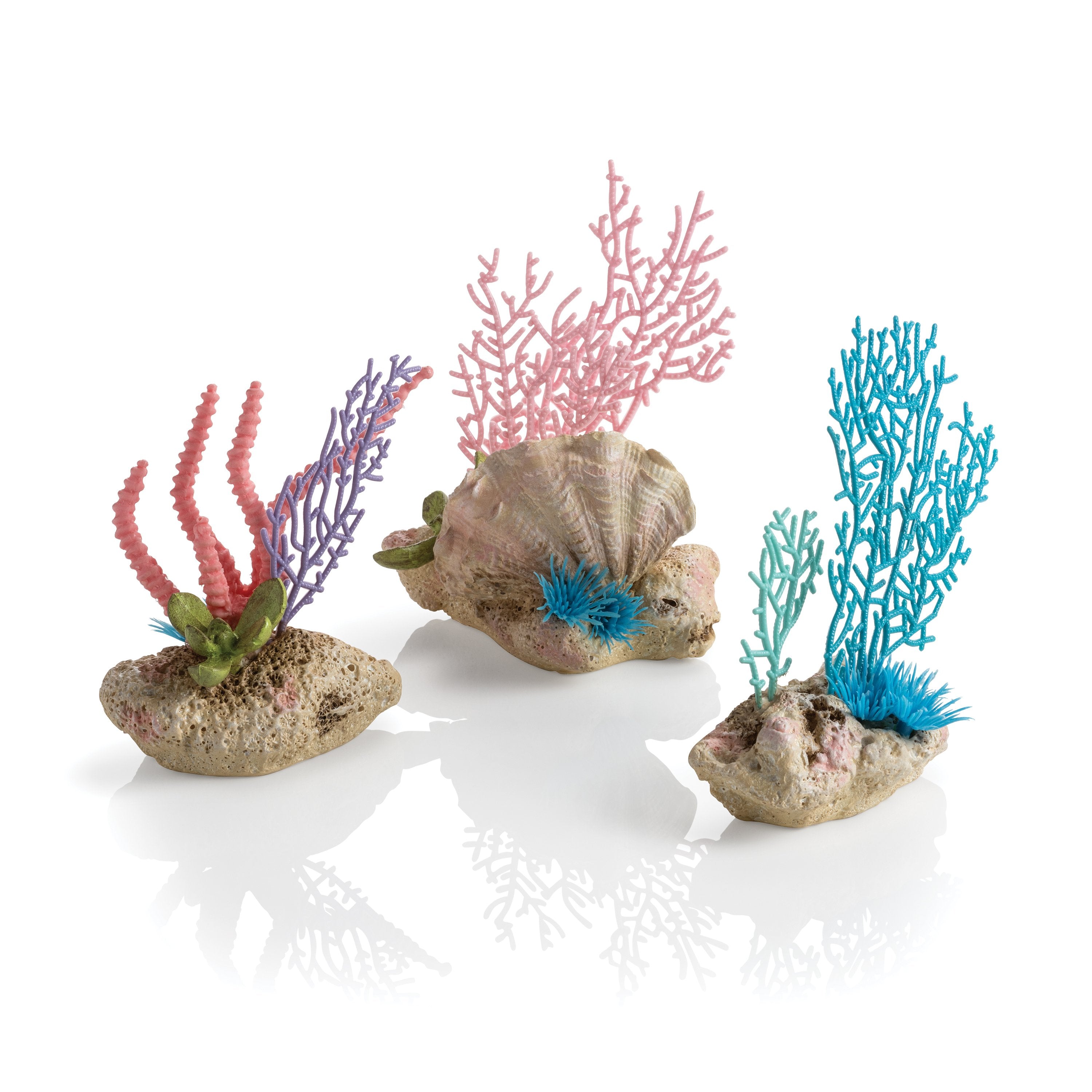 Coral Fans & Shells Set - Multicolor