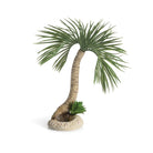 biOrb Seychelles Palm Tree Aquarium Sculpture