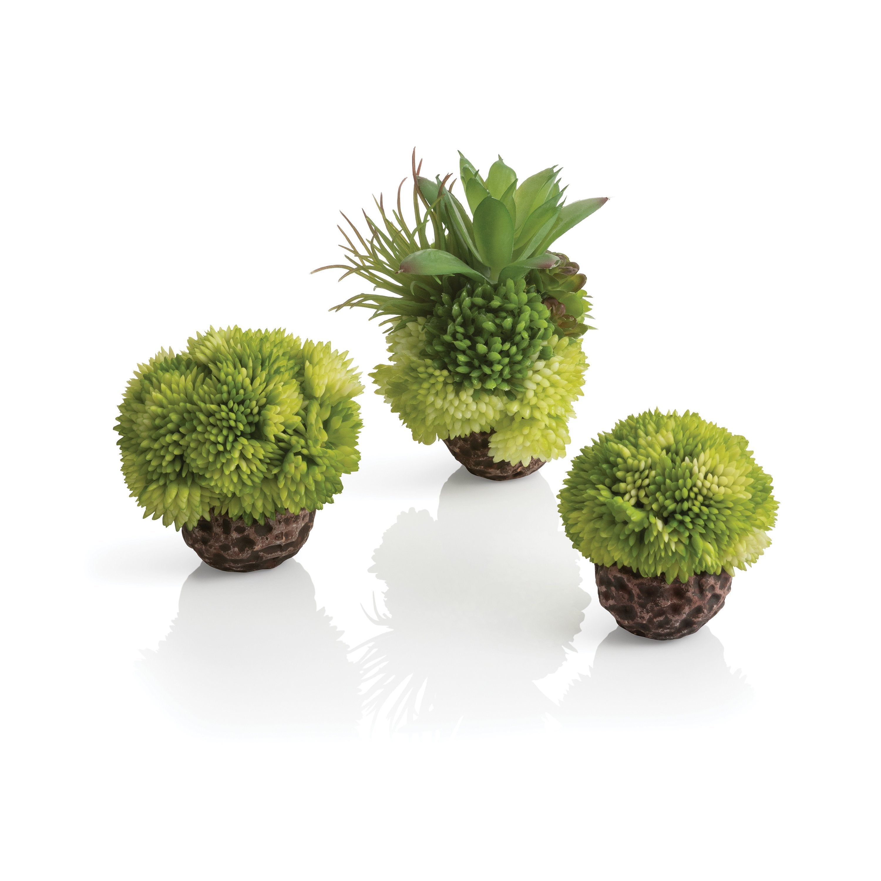 Coral Ball Set available in Green
