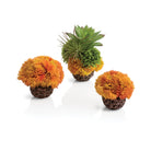 Coral Ball Set available in Orange