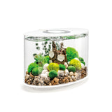 LOOP 15 Aquarium with Standard Light - 4 gallon available in White