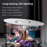 LOOP 15 Aquarium with Standard Light - 4 gallon features Long-lasting LED lighting