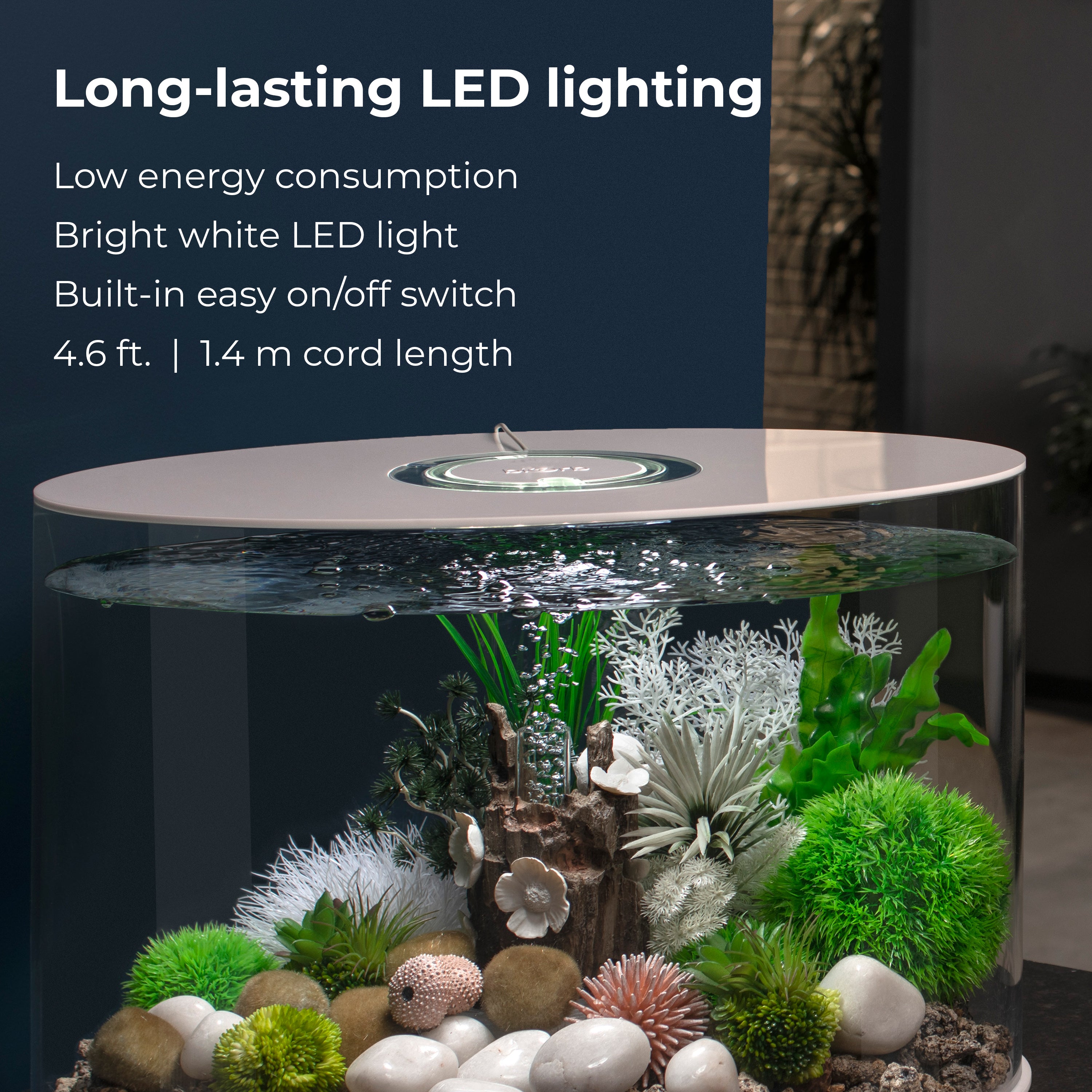 LOOP 30 Aquarium with Standard Light - 8 gallon - Long-lasting LED lighting