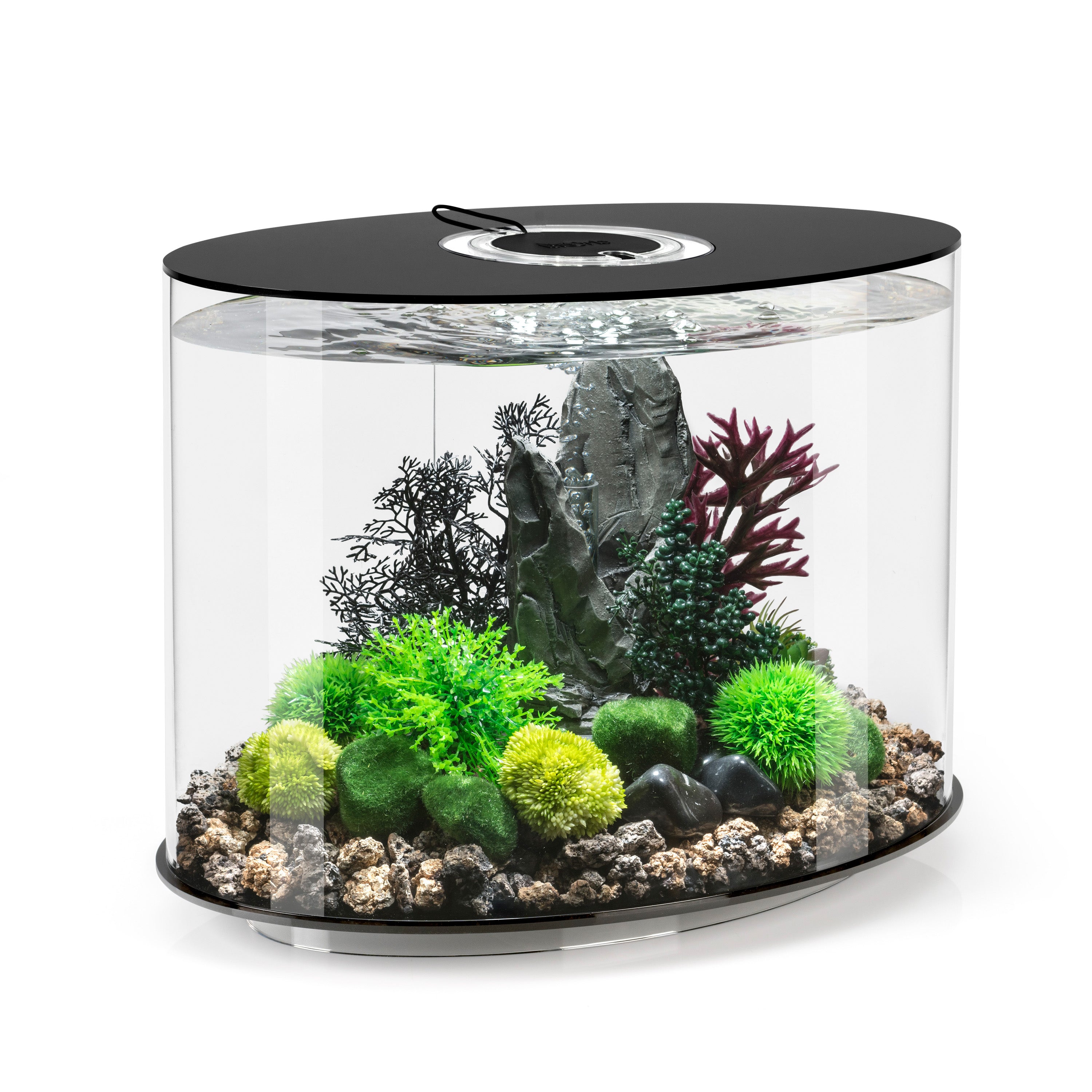 LOOP 30 Aquarium with Standard Light - 8 gallon - Black