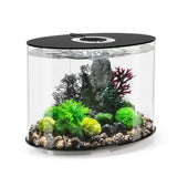 LOOP 30 Aquarium with Standard Light - 8 gallon - Black