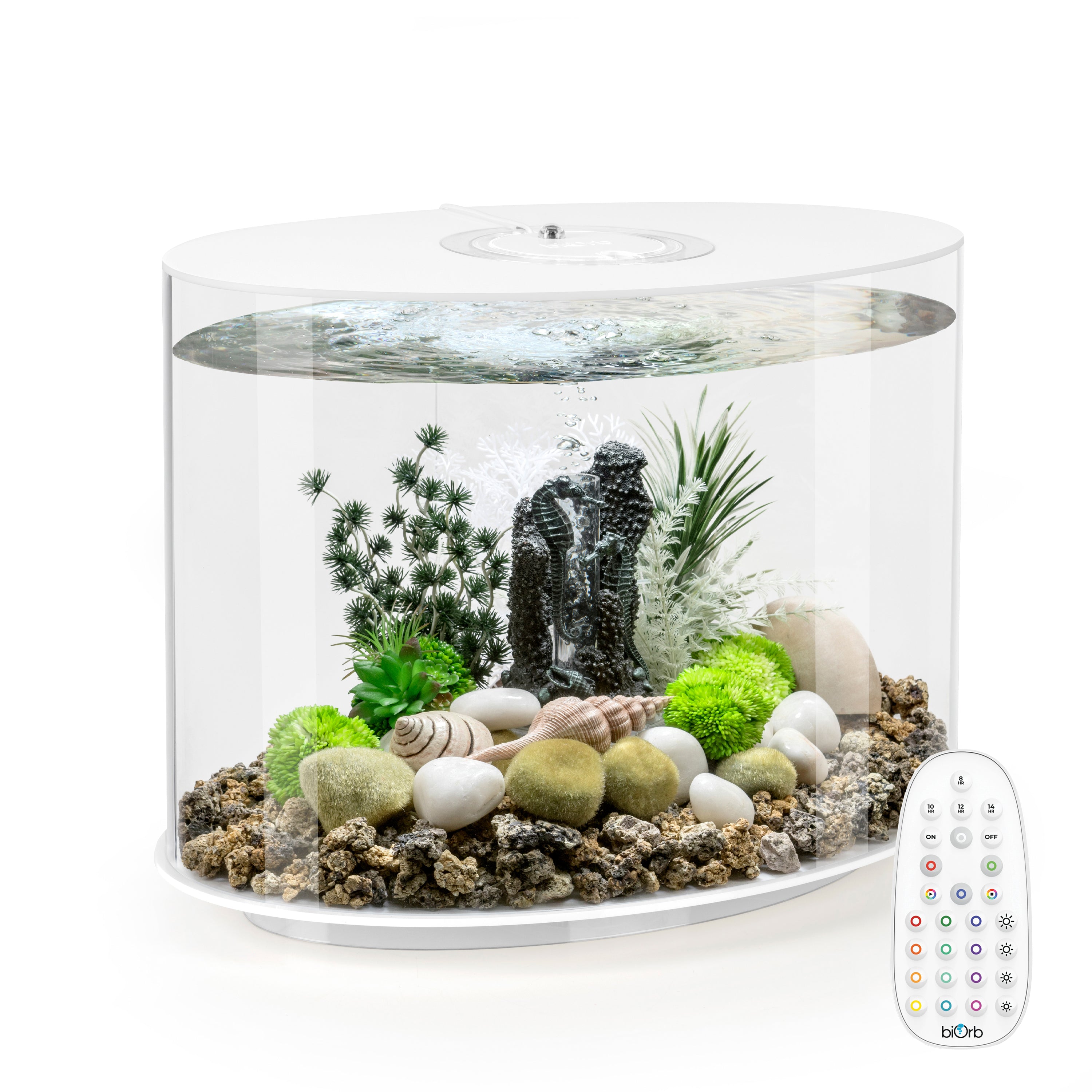 LOOP 30 Aquarium with MCR Light - 8 gallon biOrb