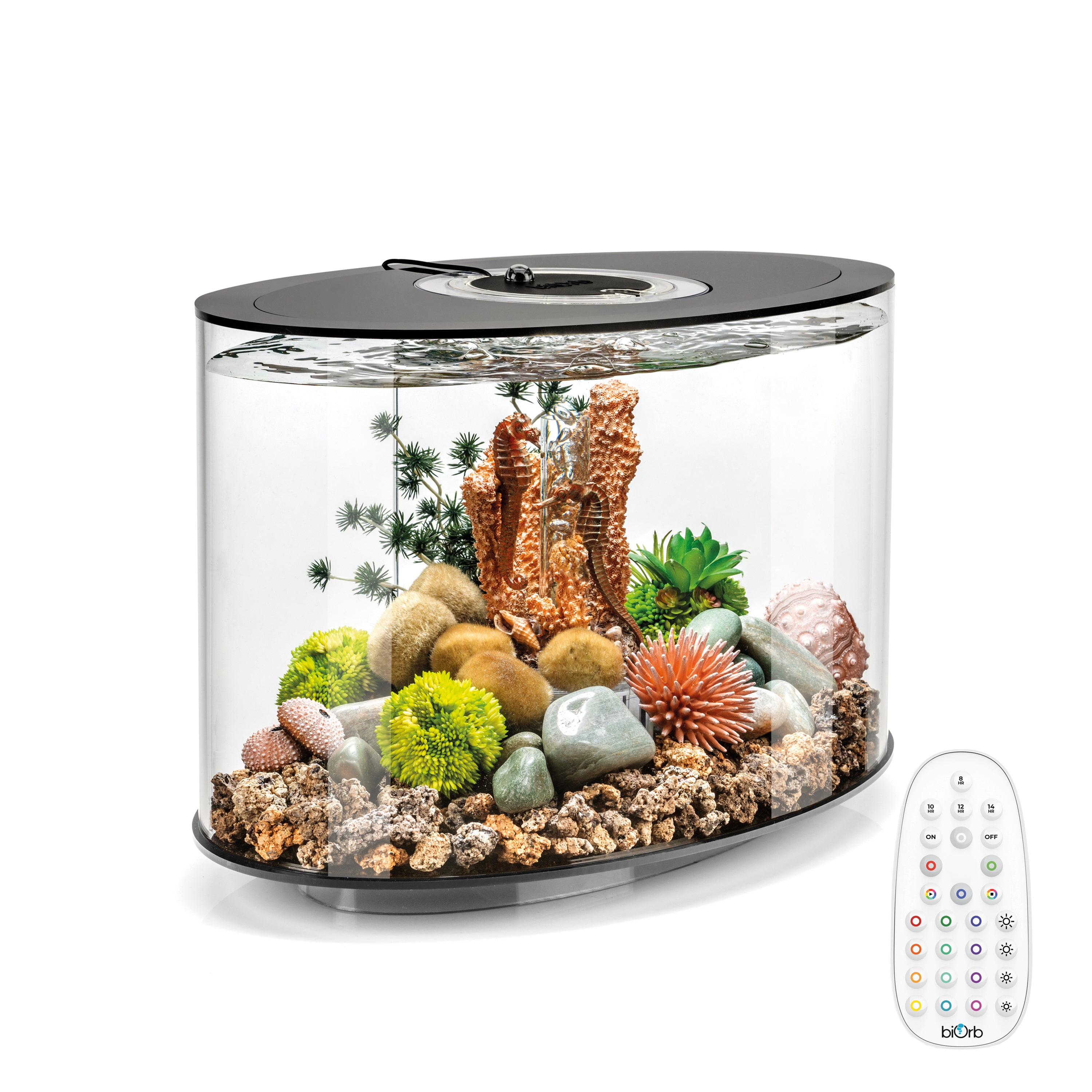 LOOP 15 Aquarium with MCR Light - 4 gallon available in black