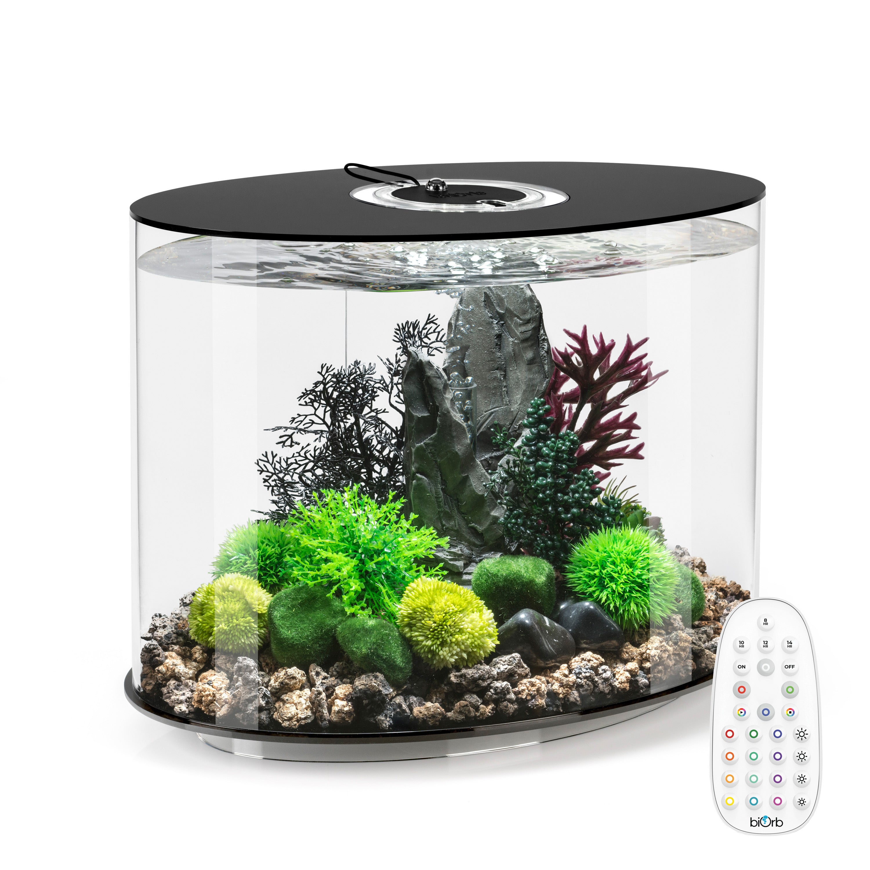 LOOP 30 Aquarium with MCR Light - 8 gallon - Black