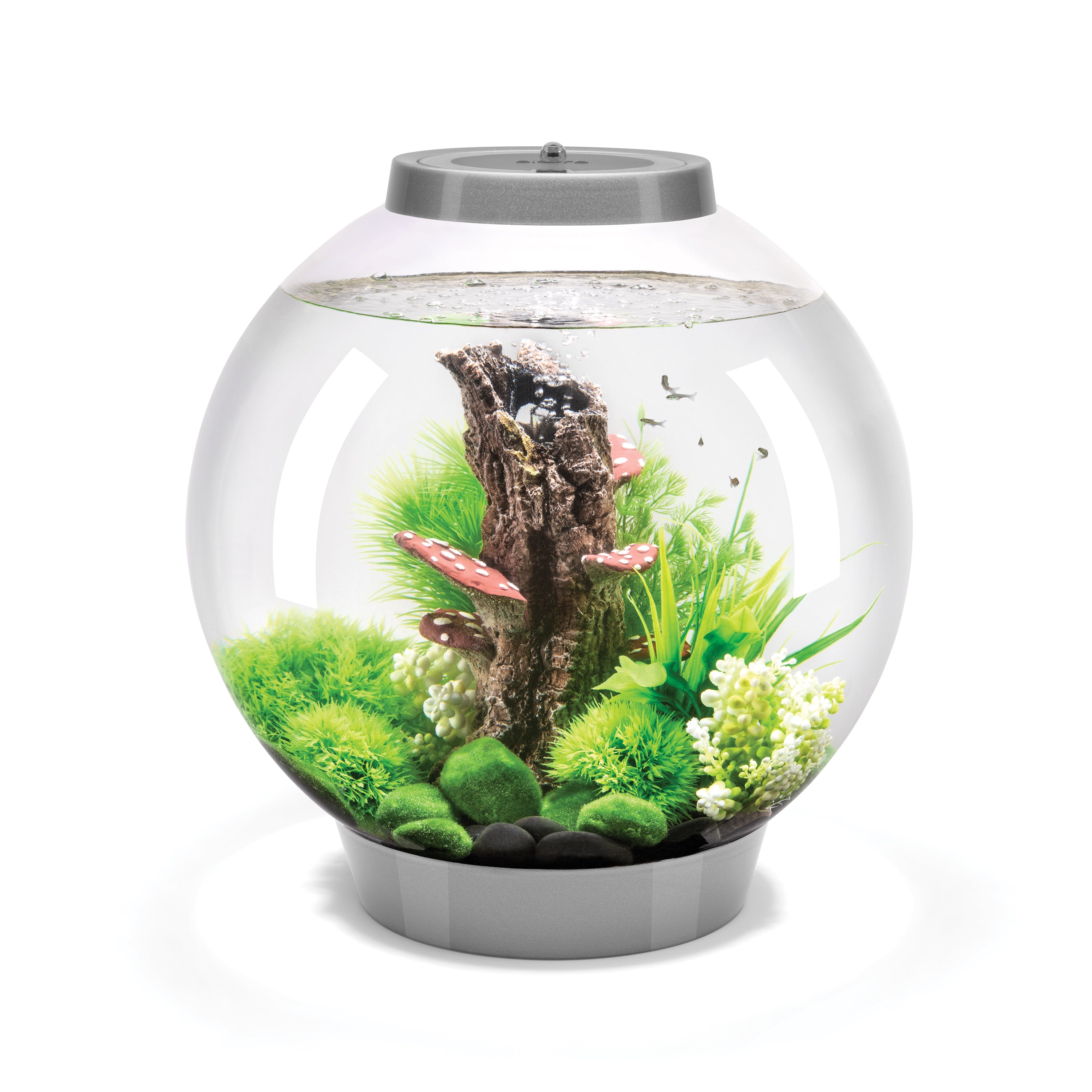 CLASSIC 30 in silver with Woodland Wonder decorations
